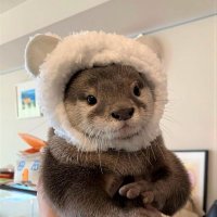 bastar 🦦 (@bastar39) 's Twitter Profile
