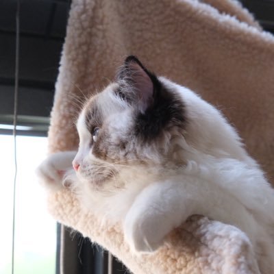 zhuye1024's profile picture. Be bold. Make magic. Have fun.