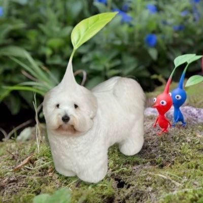 Fabianskiiさんのプロフィール画像