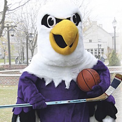 montesbabymama's profile picture. Lover of Niagara Athletics