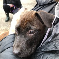Vicki (@vicki4760721432) 's Twitter Profile