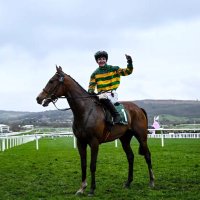 Green Tick 🐴 (@greentickracing) 's Twitter Profile Photo Green Tick 🐴 (@greentickracing) 's Twitter Profile Photo