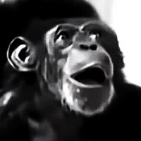 KIM JUNGHO (@kimjungho) 's Twitter Profile Photo KIM JUNGHO (@kimjungho) 's Twitter Profile Photo