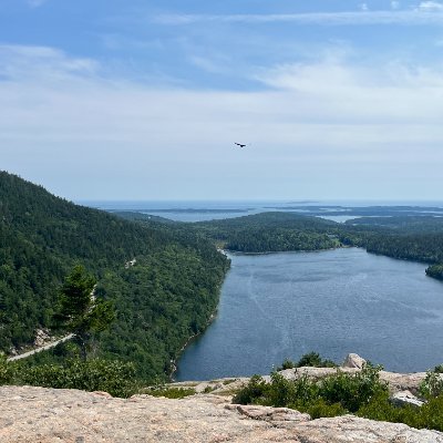 wilroth's profile picture. https://t.co/qHihLnL6tk