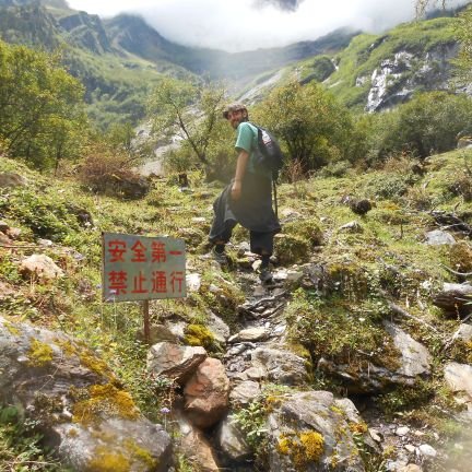 bai_song1's profile picture. 