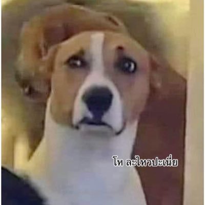 pepibyo's profile picture. 