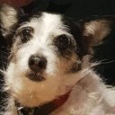 thomas borgmann - @thomasborgman - Twitter