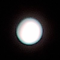 ㄴㅌ...였던것 (@nightea) 's Twitter Profile