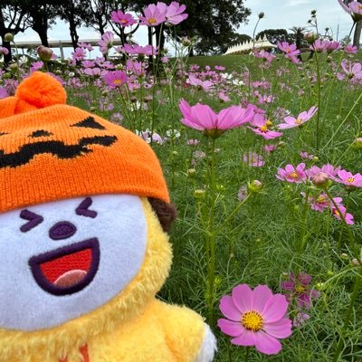 mklove013's profile picture. いつか旅にでたいです