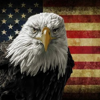 🇺🇲🇺🇲Nana. Mamma. Wife. Proud American! 🇺🇲🇺🇲 Absolute MAGA! MAHA!!! Turn Colorado RED!!!! DO NOT 🚫DM'S without permission!!🚫Nudes! 🚫 No booty shows!
