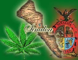 TECATEBELTRAN's profile picture. 