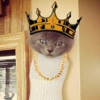 Patrick Johnson (@nftkingpatrick) 's Twitter Profile