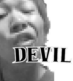 chacha5521's profile picture. 