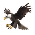 Eagle’s Men Basketball (Varsity) (@mpceaglesmbb) 's Twitter Profile Photo Eagle’s Men Basketball (Varsity) (@mpceaglesmbb) 's Twitter Profile Photo
