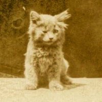 Astrid Dannersen π·πΈπΊπͺ»πΏοΈ (@astriddannersen) 's Twitter Profile Photo Astrid Dannersen π·πΈπΊπͺ»πΏοΈ (@astriddannersen) 's Twitter Profile Photo