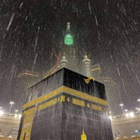 شموخ انثى (@anthy61369) 's Twitter Profile