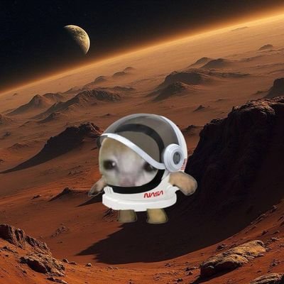 heymmar_crypt's profile picture. crypto enthusiast