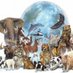 Animal Louver (@louveranimal) Twitter profile photo Animal Louver (@louveranimal) Twitter profile photo