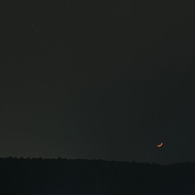 CurlyCyber's profile picture. Senior Researcher @Google Mandiant