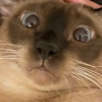คนฝนตก_𝕜𝕥𝕕🩵🩷 (@khonfontok_ktd) 's Twitter Profile Photo คนฝนตก_𝕜𝕥𝕕🩵🩷 (@khonfontok_ktd) 's Twitter Profile Photo