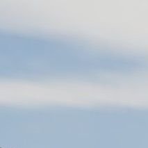 D0mMzig's profile picture. します