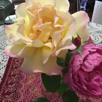 Margaret McLoughlin (@danielsroad) 's Twitter Profile