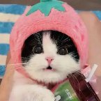 yrtvedrgfg73844's profile picture. 