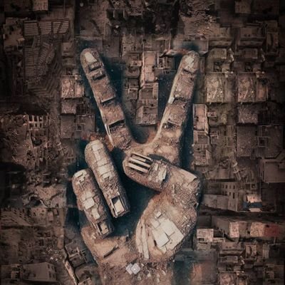 r8083513249314's profile picture. دانشجو/علوم سیاسی🕶/فالو=فالو