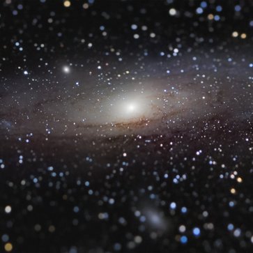 ThienTri5555's profile picture. 