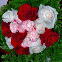Fatma Al-Shammari (@fooofa__93) 's Twitter Profile