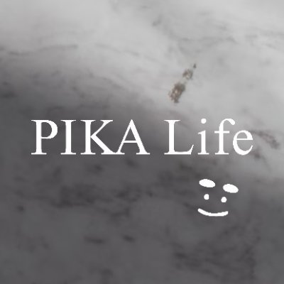 touchpc_tachi's profile picture. 美しい天然石・鉱物・彫り物・龍亀をBASEにて販売中です