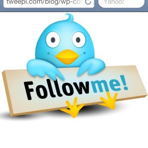 TeamFB___'s profile picture. NEW ACCOUNT TO HELP PEOPLE GAIN FOLLOWERS. FOLLOW US AND ASK FOR A SHOUTOUT AND WE WILL HAPPILY GIVE YOU ONE. #teamfollowback #instantfollowback