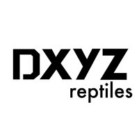 Dxyz reptiles (@dxyzreptiles) 's Twitter Profile