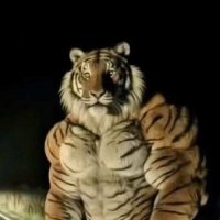 High-Tiger (@hightigerart) 's Twitter Profile Photo High-Tiger (@hightigerart) 's Twitter Profile Photo