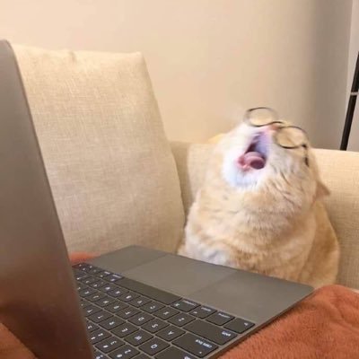 dhawanzap's profile picture. Come here rude boy, boy🔥🌡️💥💥