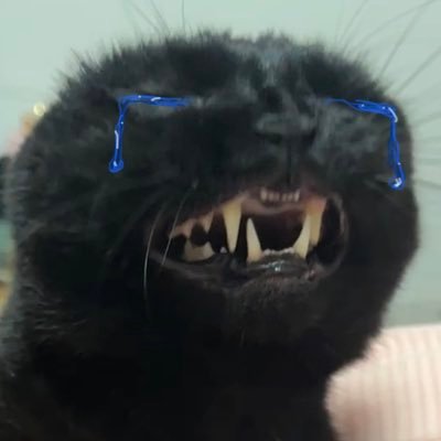 Calvins_canvas's profile picture. 