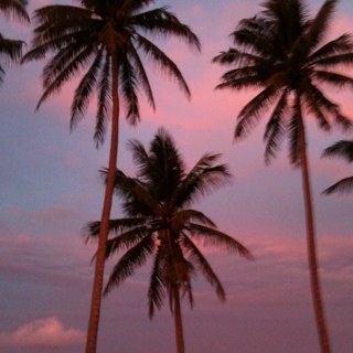 Dugong24's profile picture. Punter. Views are my own. Retweet does not equal endorsement.