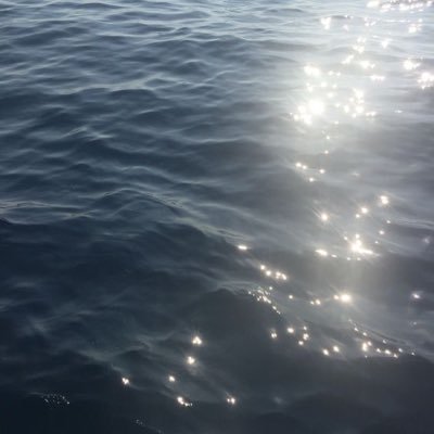 618o0a's profile picture. よいものをよいとするアカウント