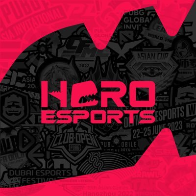 Hero Esports is the world-leading esports company behind the Asian Games Esports Series, Olympic Esports Week, Esports World Cup, KPL, VCT, PGC and PMGC.