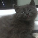 john conley - @therealrotti - Twitter