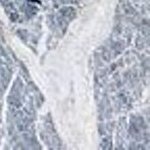 juliareiter.bsky.social (@julia__reiter) 's Twitter Profile Photo juliareiter.bsky.social (@julia__reiter) 's Twitter Profile Photo