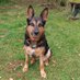 Lollysmum 🏴 (@lollysmum1) Twitter profile photo Lollysmum 🏴 (@lollysmum1) Twitter profile photo