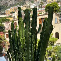 Karla Hilton (@karlahilton1) 's Twitter Profile Photo