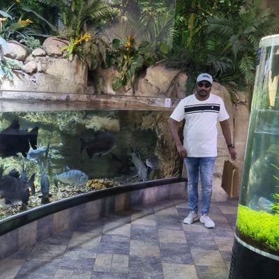 vamsicrazy1's profile picture. 