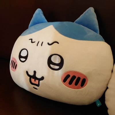 雀我さんのプロフィール画像