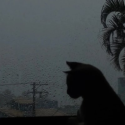 Maneena___'s profile picture. 