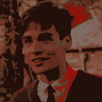 peter (@arachnothwips) 's Twitter Profile