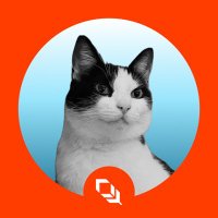 Sasagoongooncat (@sasagoongooncat) 's Twitter Profile