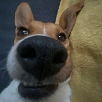 Yann Lutz (@yallu2) 's Twitter Profile
