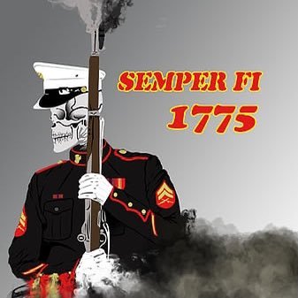 Marine Corps MP vet, NRA life member, LE & FF supporter, Til Valhalla Project Elite Member, UK-NKU-UL fan